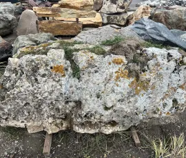 Известняк