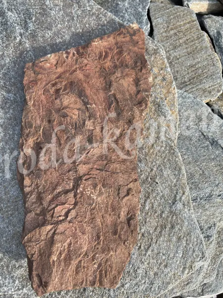 Плитняк песчаник «Дракон (обожженный)»