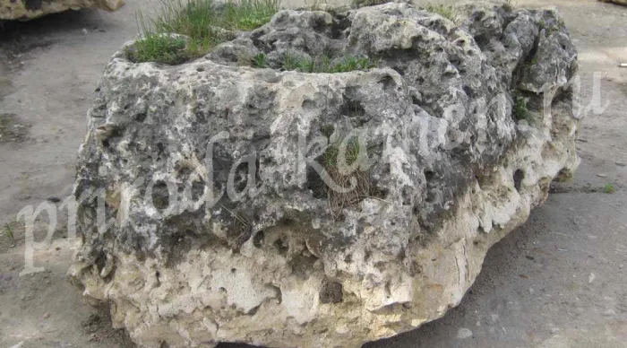Валун известняк «выветренный Архыз (глыба)»