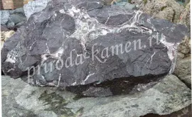 Главная